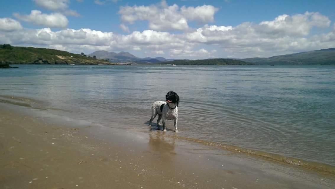 89 Lower Lakeside - Glan Gwna Holiday Park Caernarfon Bagian luar foto